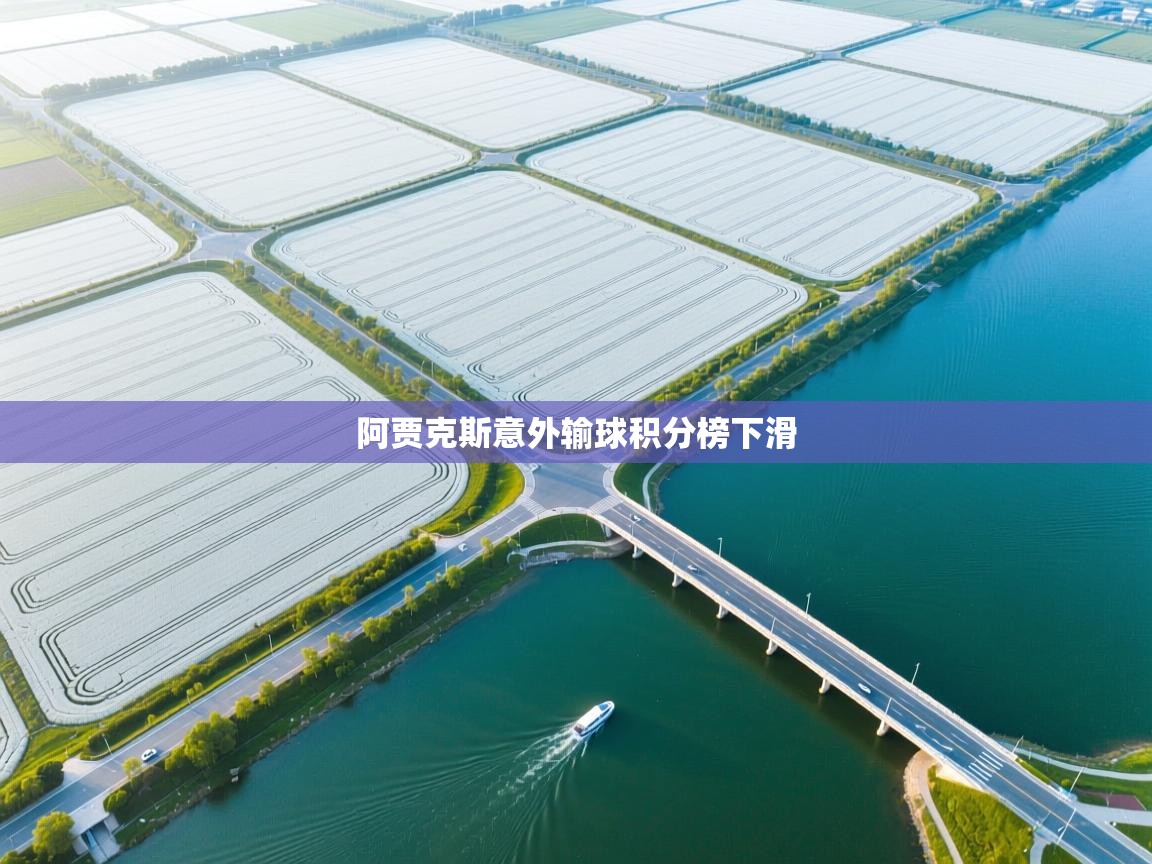 开云体育app下载官网-阿贾克斯意外输球积分榜下滑  第4张