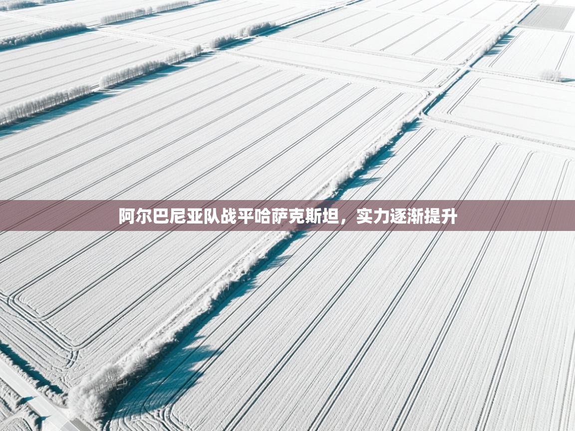 开云数据-阿尔巴尼亚队战平哈萨克斯坦，实力逐渐提升  第4张
