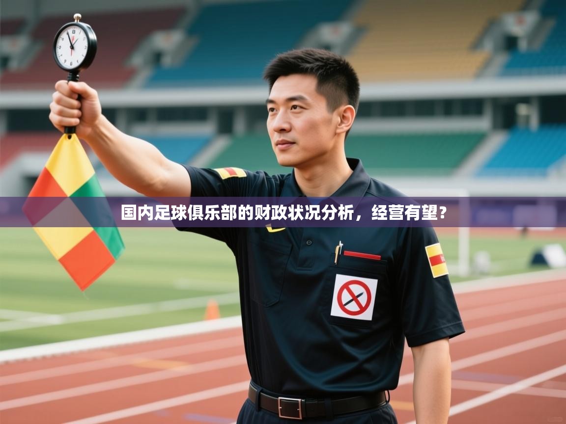 开云体育入口邀请码-国内足球俱乐部的财政状况分析,经营有望?