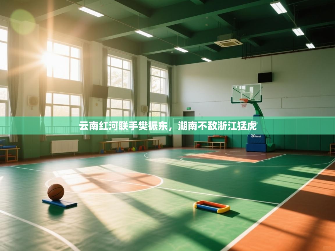 开云体育app官网入口-云南红河联手樊振东,湖南不敌浙江猛虎 第2张