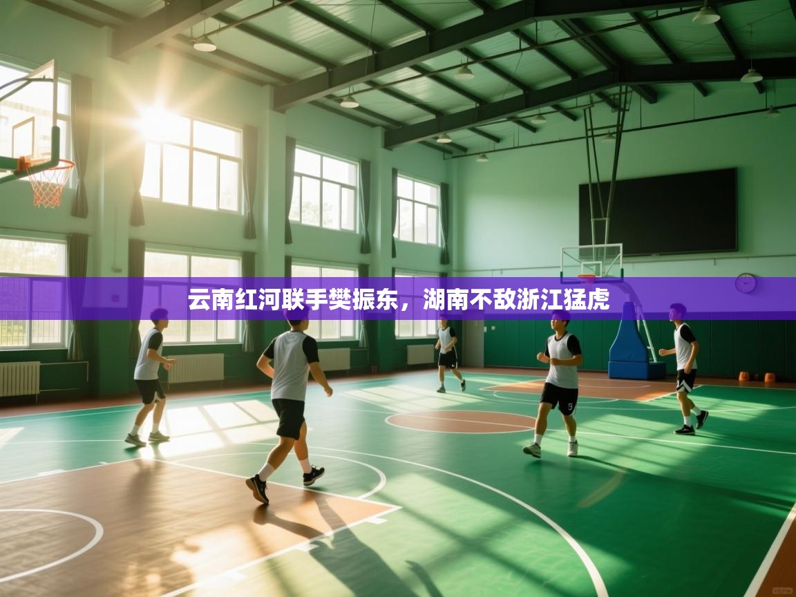 开云体育app官网入口-云南红河联手樊振东,湖南不敌浙江猛虎 第4张