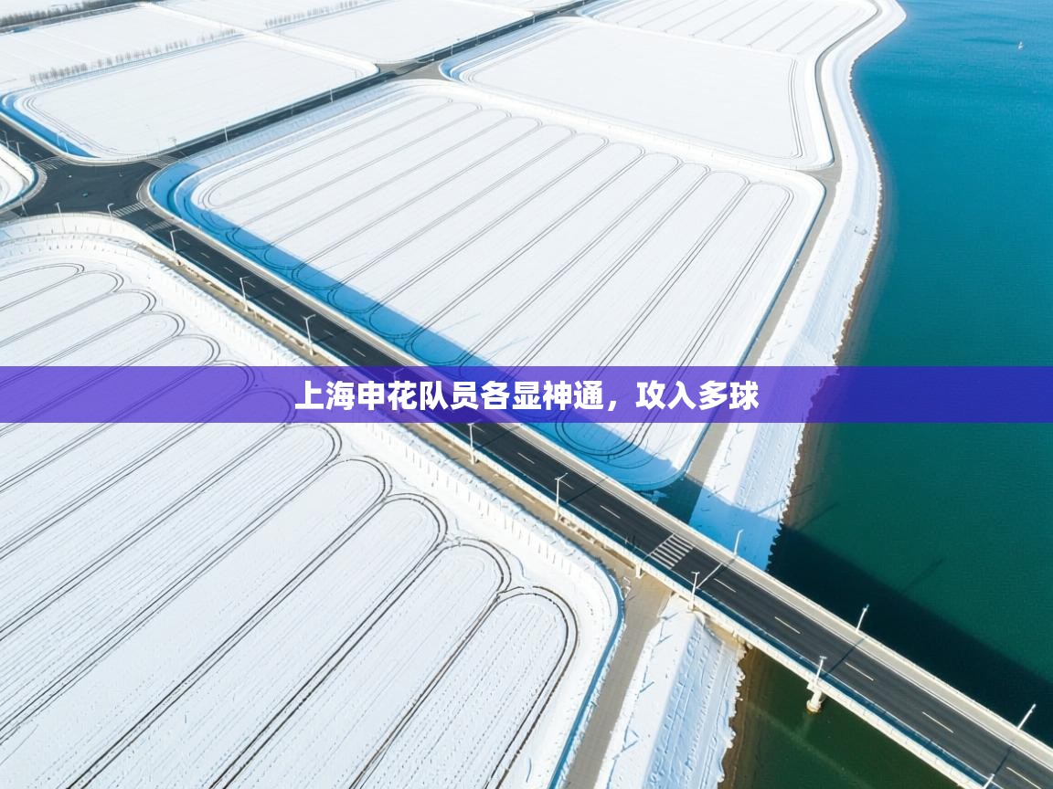 -上海申花队员各显神通,攻入多球 第2张