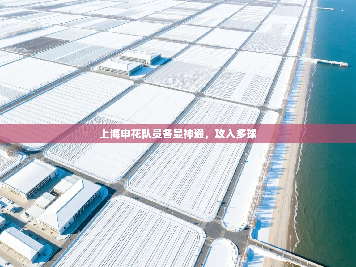 -上海申花队员各显神通,攻入多球 第3张