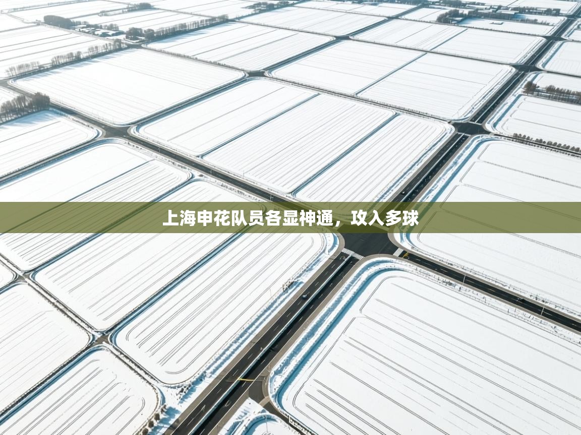 -上海申花队员各显神通,攻入多球 第4张