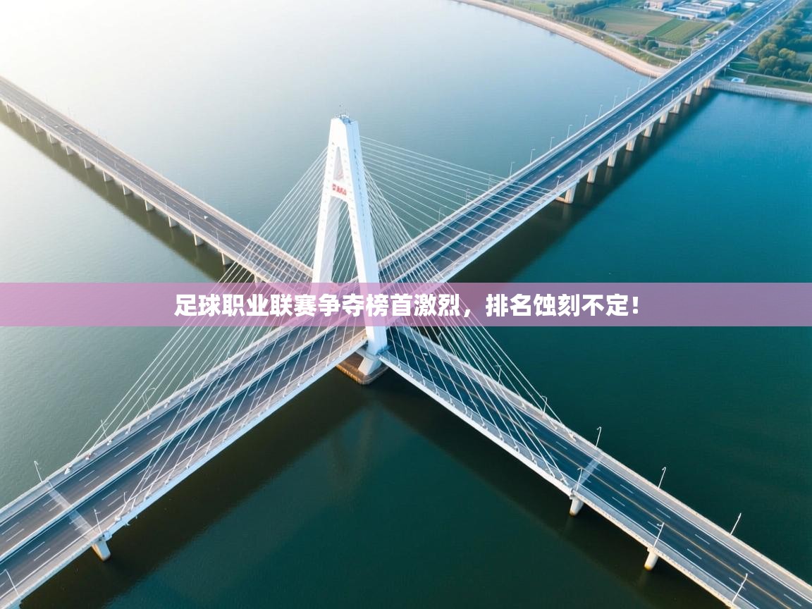 开云体育安卓APK下载-足球职业联赛争夺榜首激烈，排名蚀刻不定！  第1张