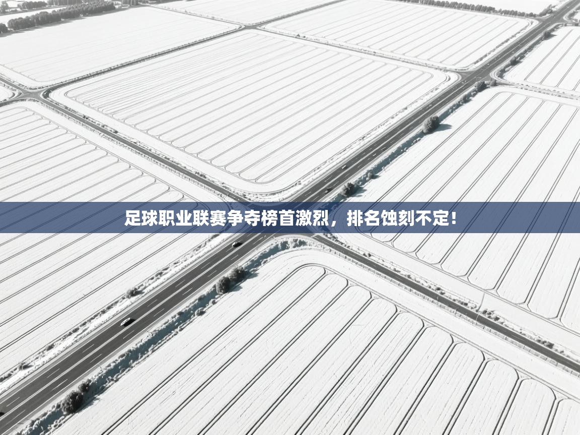 开云体育安卓APK下载-足球职业联赛争夺榜首激烈，排名蚀刻不定！  第3张