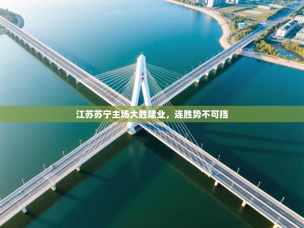 开云体育赛事比分直播-江苏苏宁主场大胜建业，连胜势不可挡  第1张