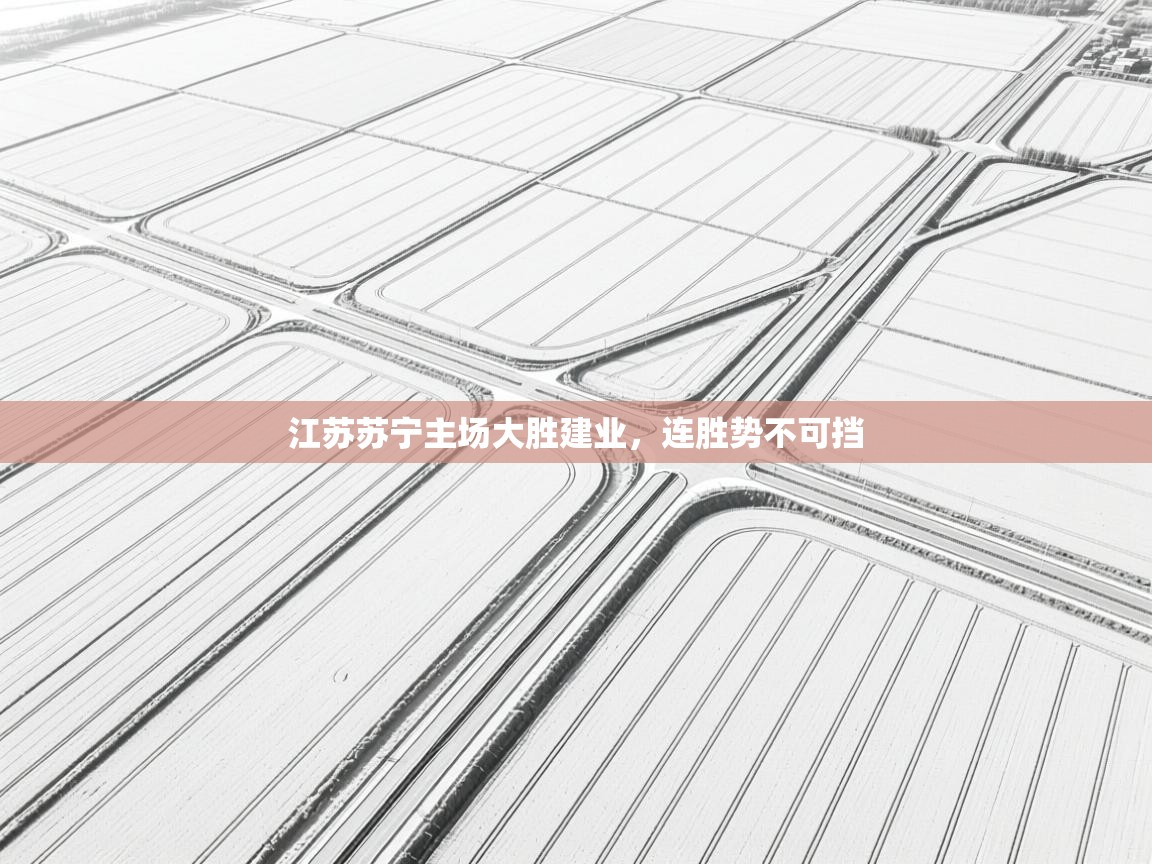 开云体育赛事比分直播-江苏苏宁主场大胜建业，连胜势不可挡  第2张