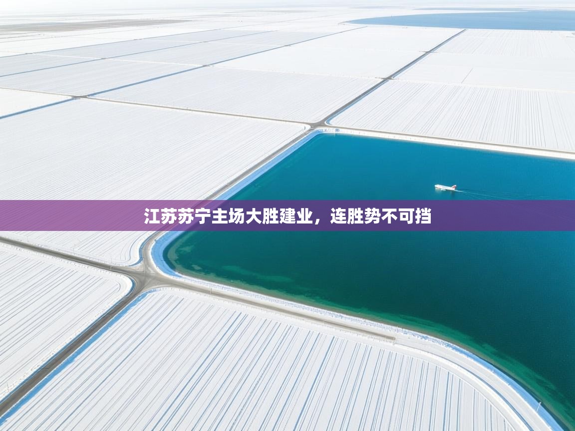 开云体育赛事比分直播-江苏苏宁主场大胜建业，连胜势不可挡  第3张